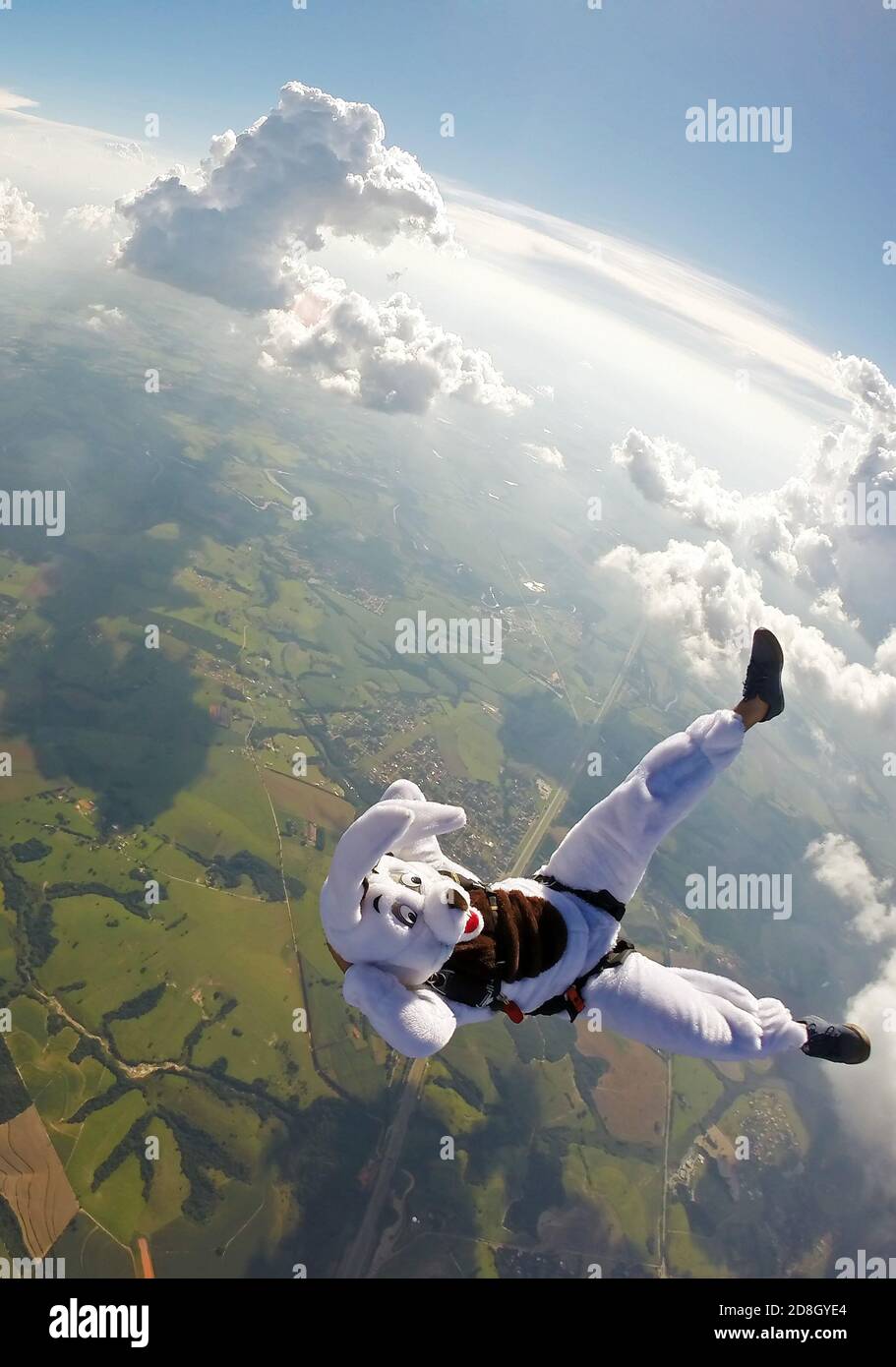 Easter bunny free falling Stock Photo