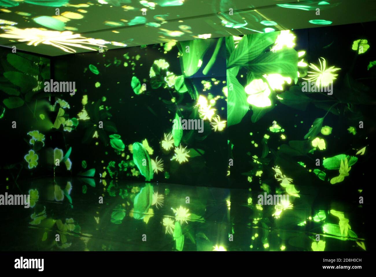 Visitors enjoy the holographic projection in Nanning city, south China's Guangxi province, 13 September 2020. Stock Photo