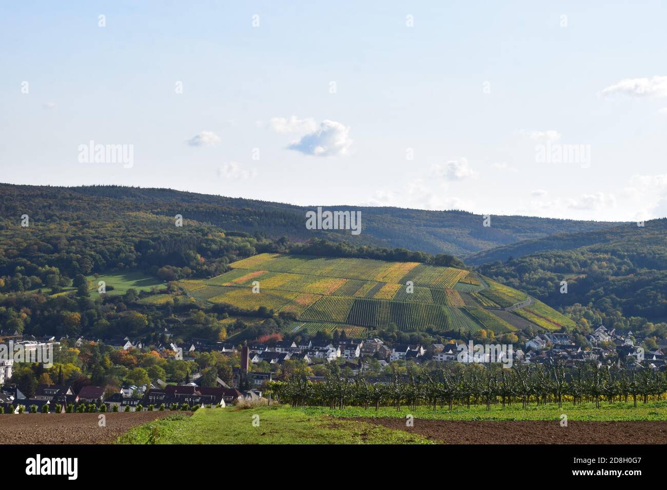 autumn landscape in the lower Ahr valley with colorful vineyards hills around Bad Neuenahr-Ahrweiler Stock Photo