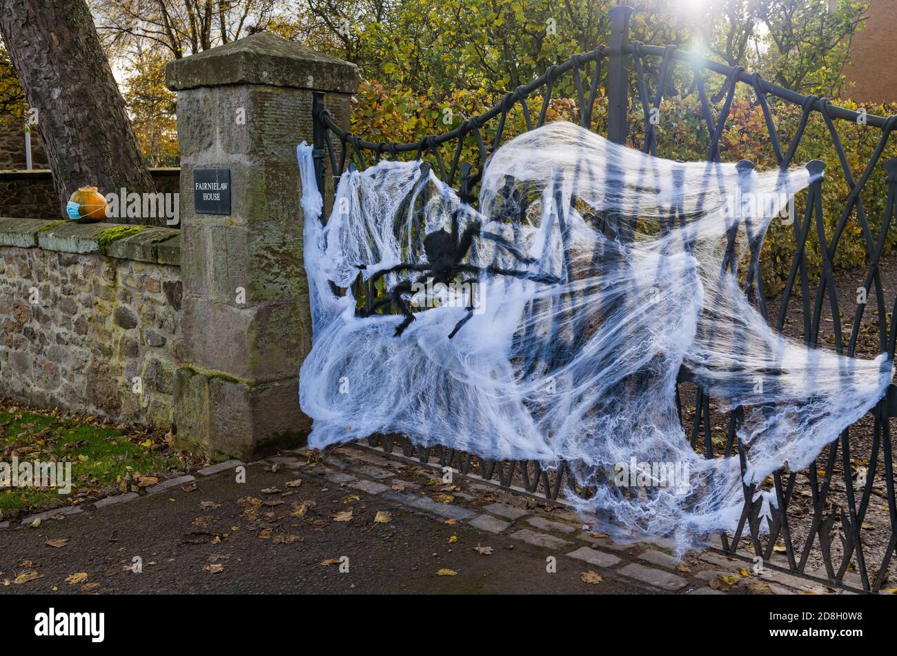 East Lothian, Scotland, United Kingdom, 30th October 2020. Halloween decorations: a house in Athelstaneford gets into the Halloween spirit decorating a gate with a large spider's web and fake spider as well as pumpkins on a wall, one wearing a face mask Stock Photo