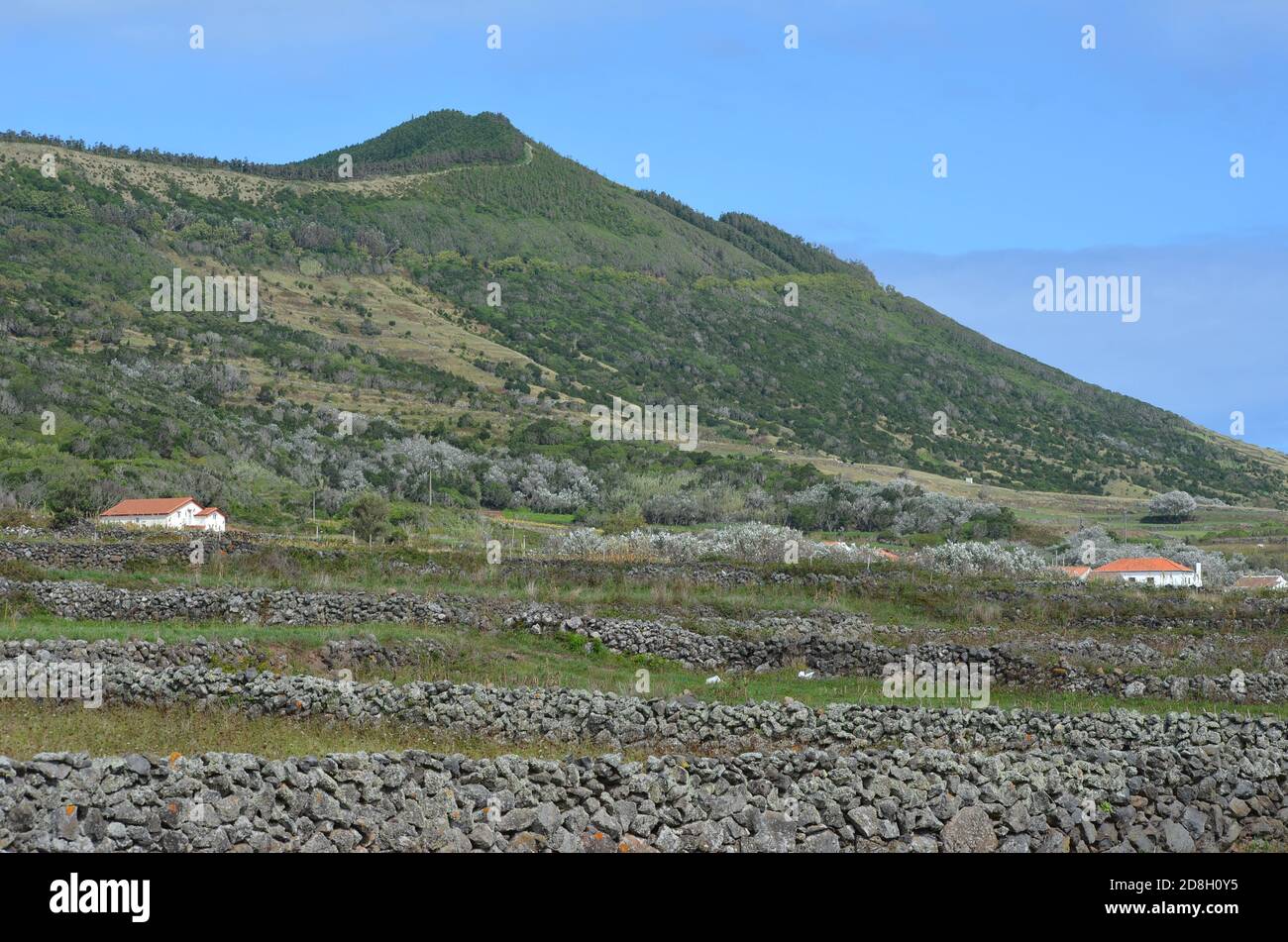 Landscapes in Graciosa island, Azores archipelago, Portugal Stock Photo
