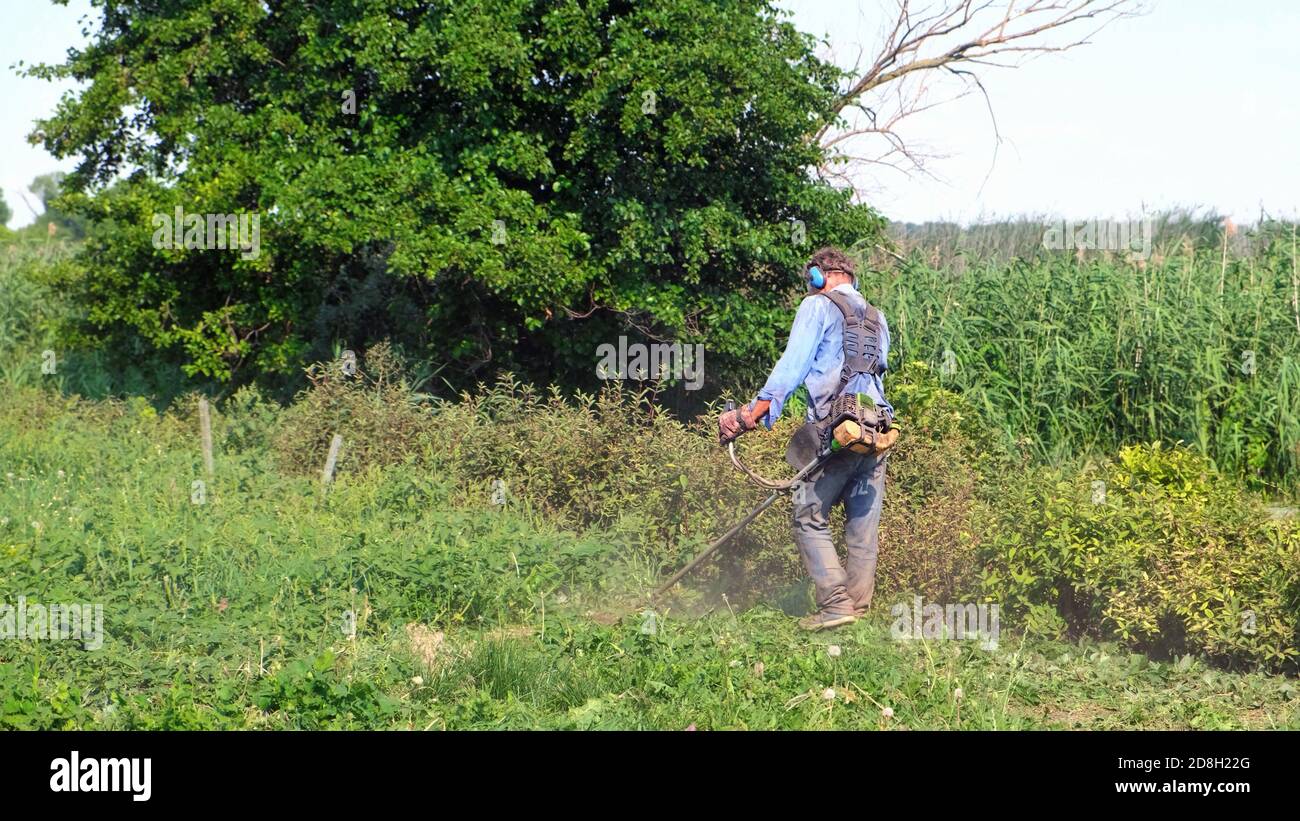Senior man mows grass with petrol brush cutter. Man wearing work overalls, protective goggles, soundproof headphones and work gloves. Full-length view Stock Photo