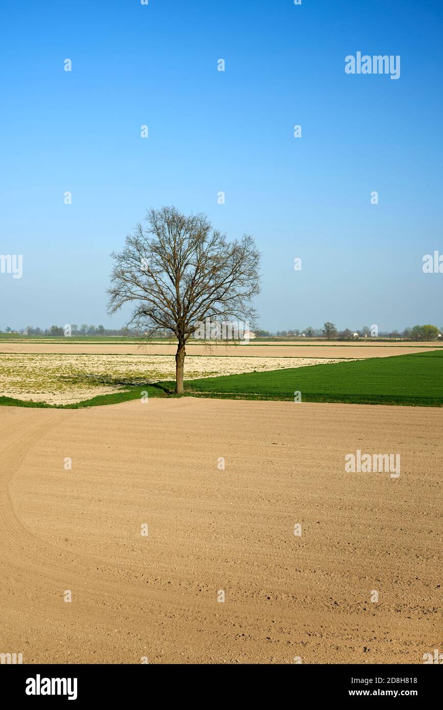 Isola Pescaroli (Cr),Italy, agricultural fields in the floodplain of