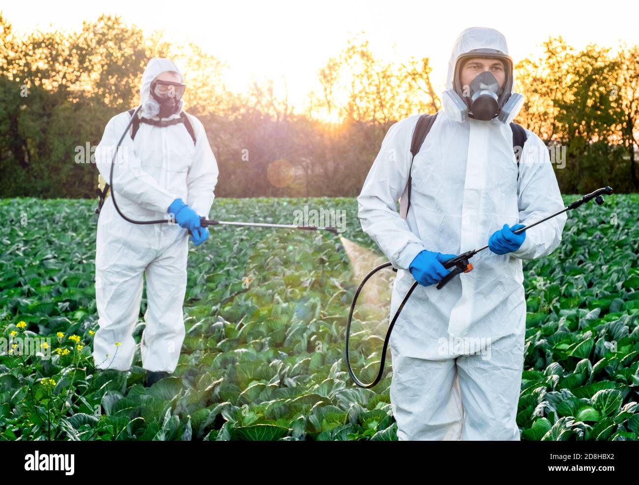 Spraying Pesticides