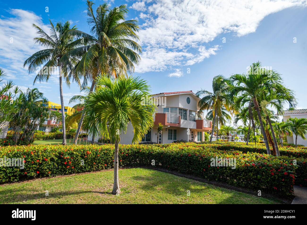 beautiful landscape design in front of a two-story mansion. Palm trees grow in garden. A hedge of bushes and flowers. Stock Photo