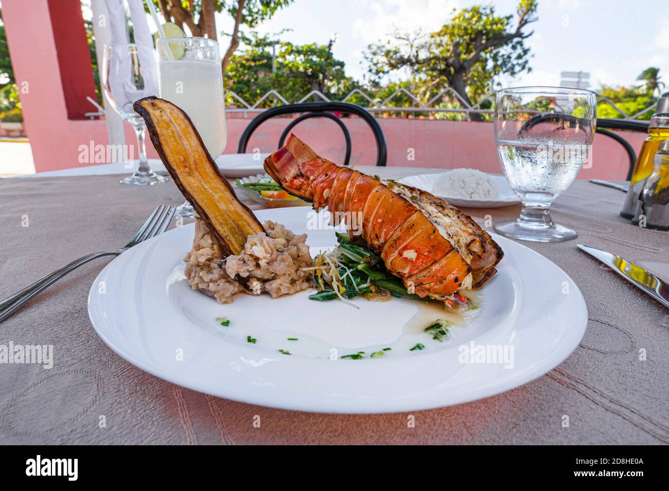 Grilled lobster is beautifully placed on a plate along with a side dish of mashed potatoes, fried banana, vegetables, rice and a glass of cocktail Stock Photo