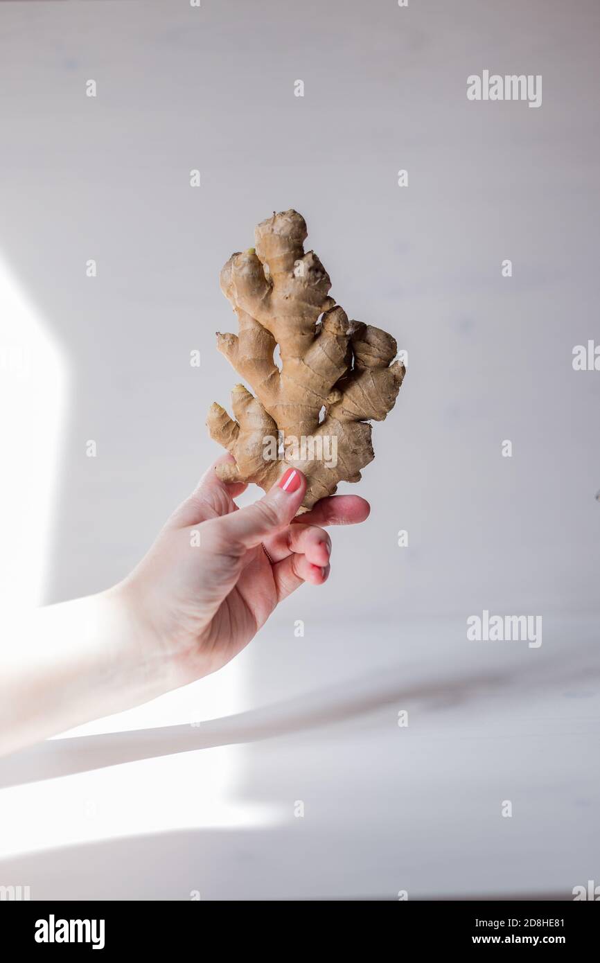 A hand holds a piece of ginger Stock Photo Alamy