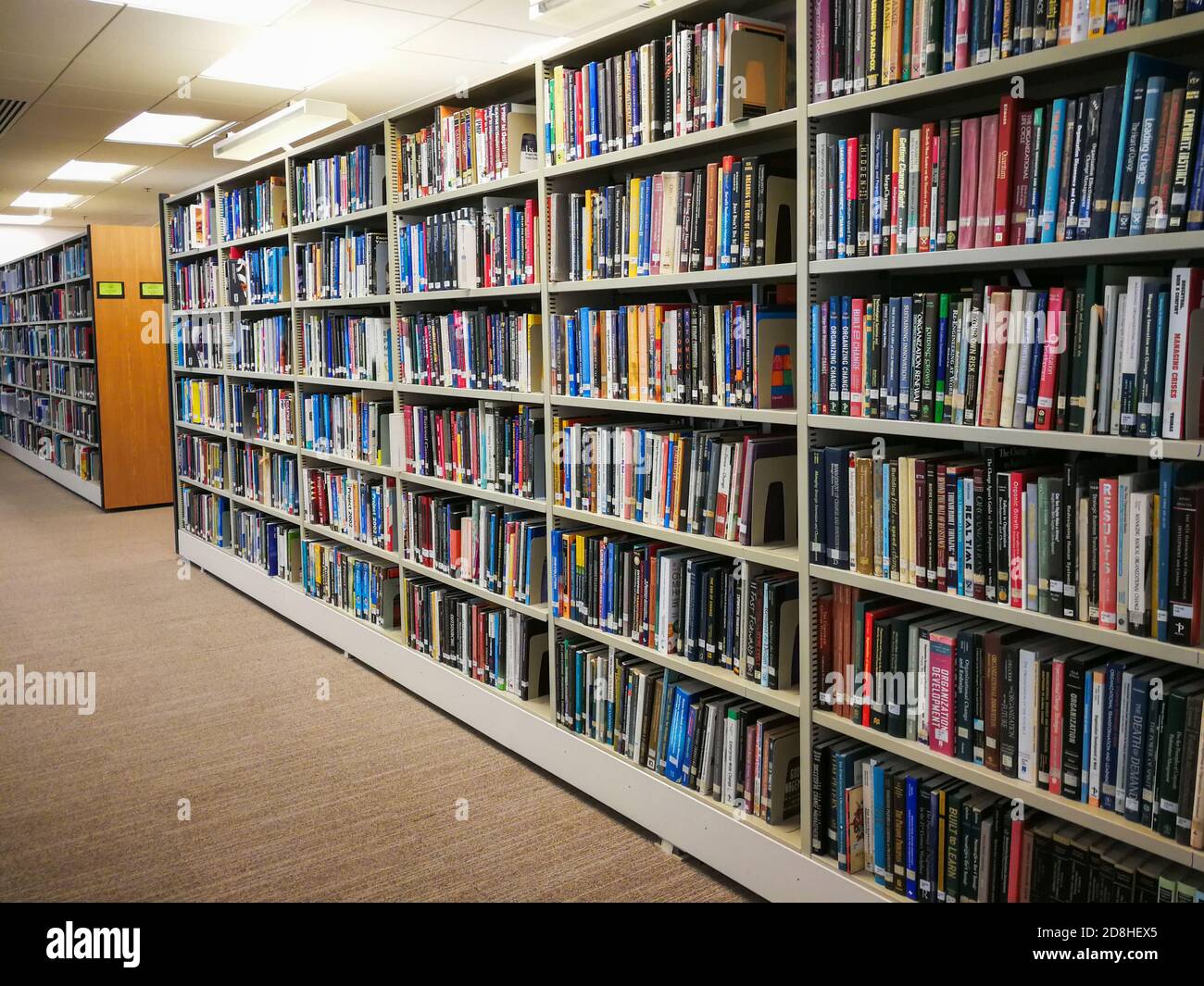 books and reading material in University of Hong Kong library Stock