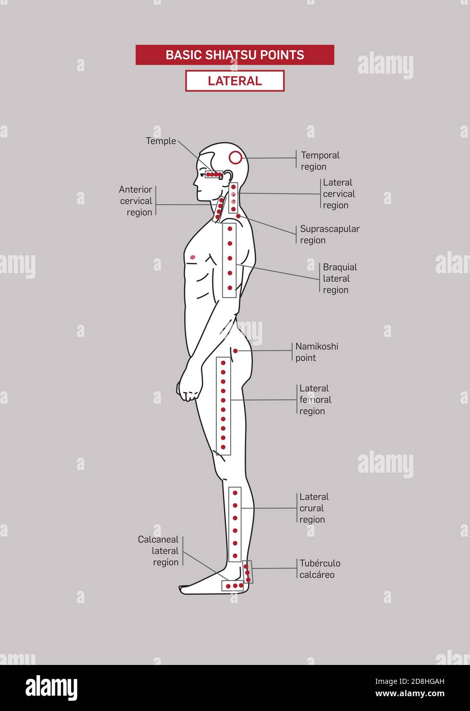 Basic Shiatsu acupressure Points. Male body. Stock Vector