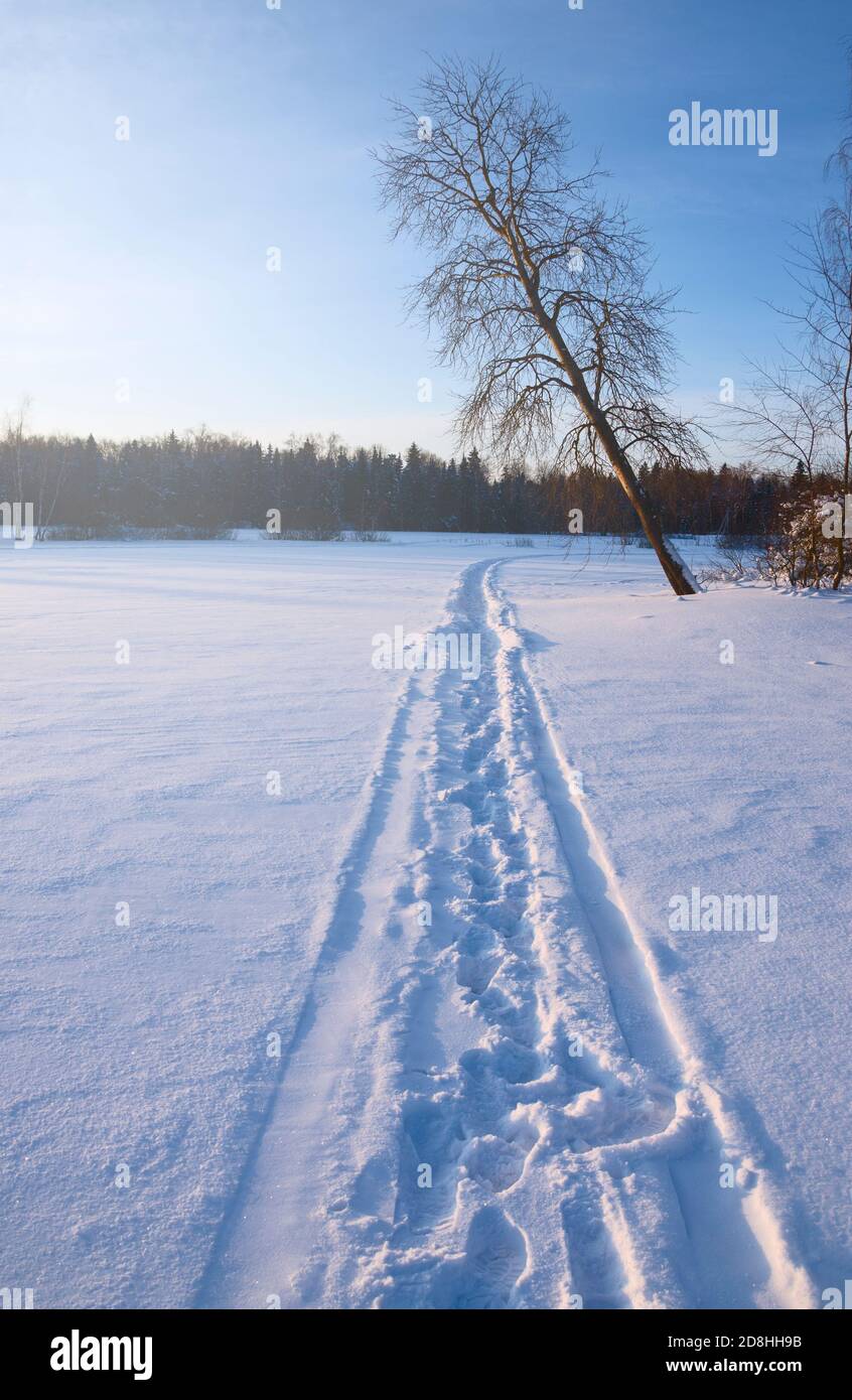Sunny winter scene with footpath in deep snow Stock Photo - Alamy