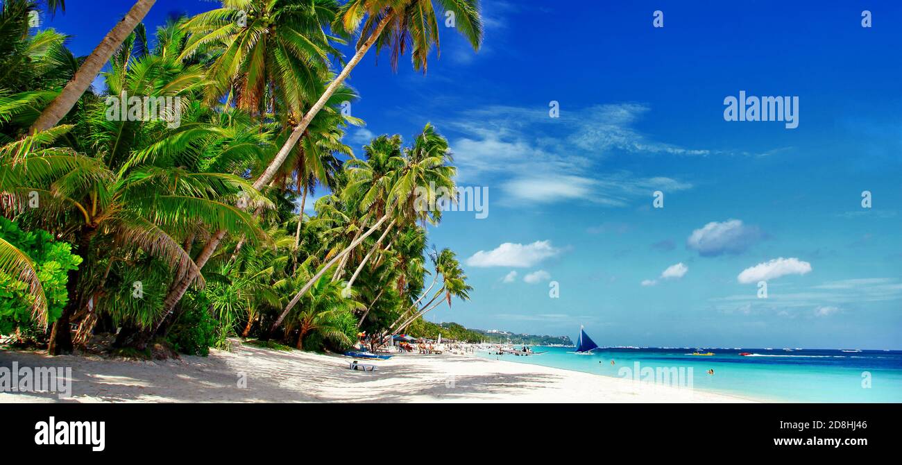 Tropical beach and palm trees image Stock Photo - Alamy