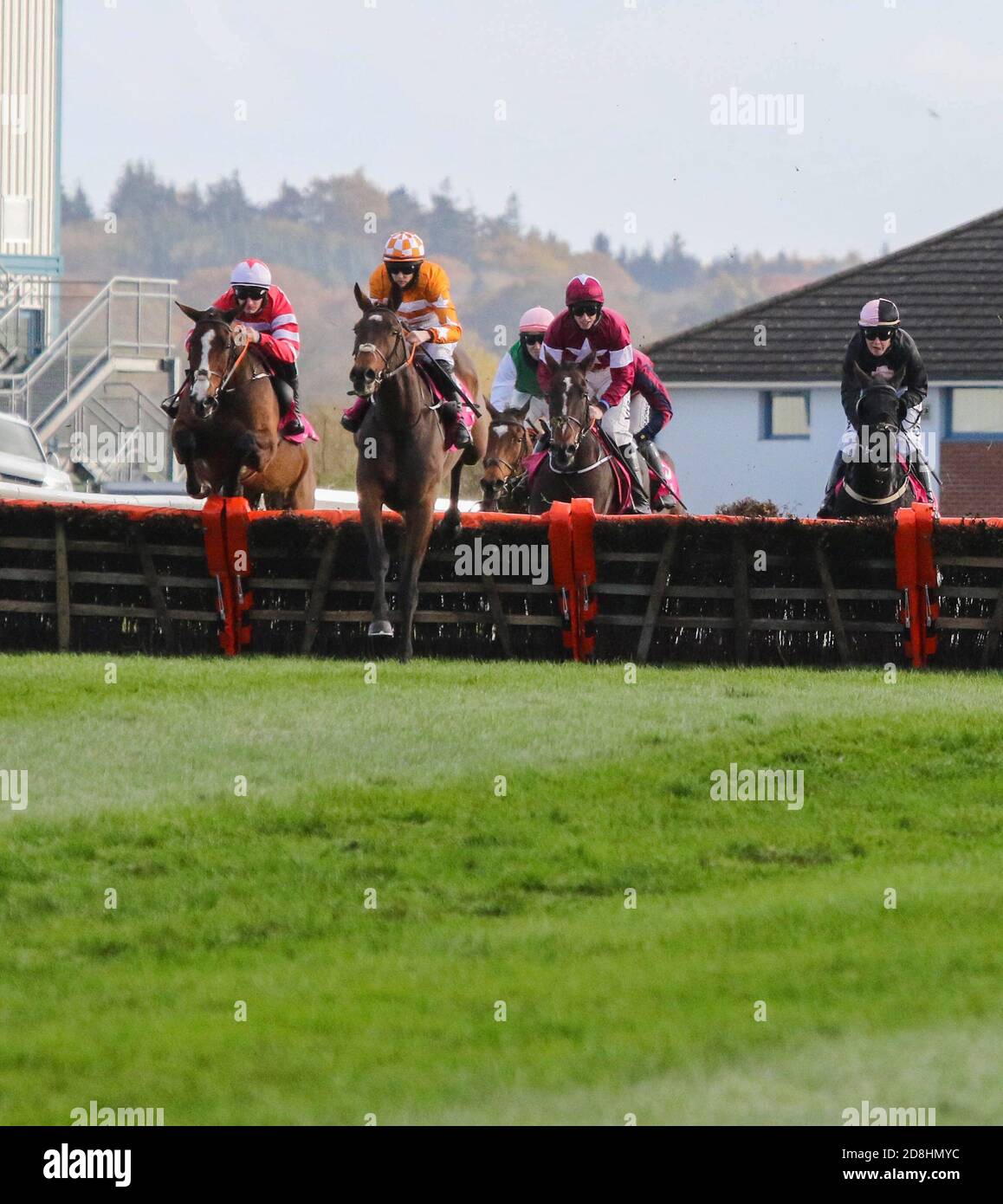 Top Riden Down Royal Racecourse, Lisburn, Northern Ireland. 30 Oct 2020. The ...