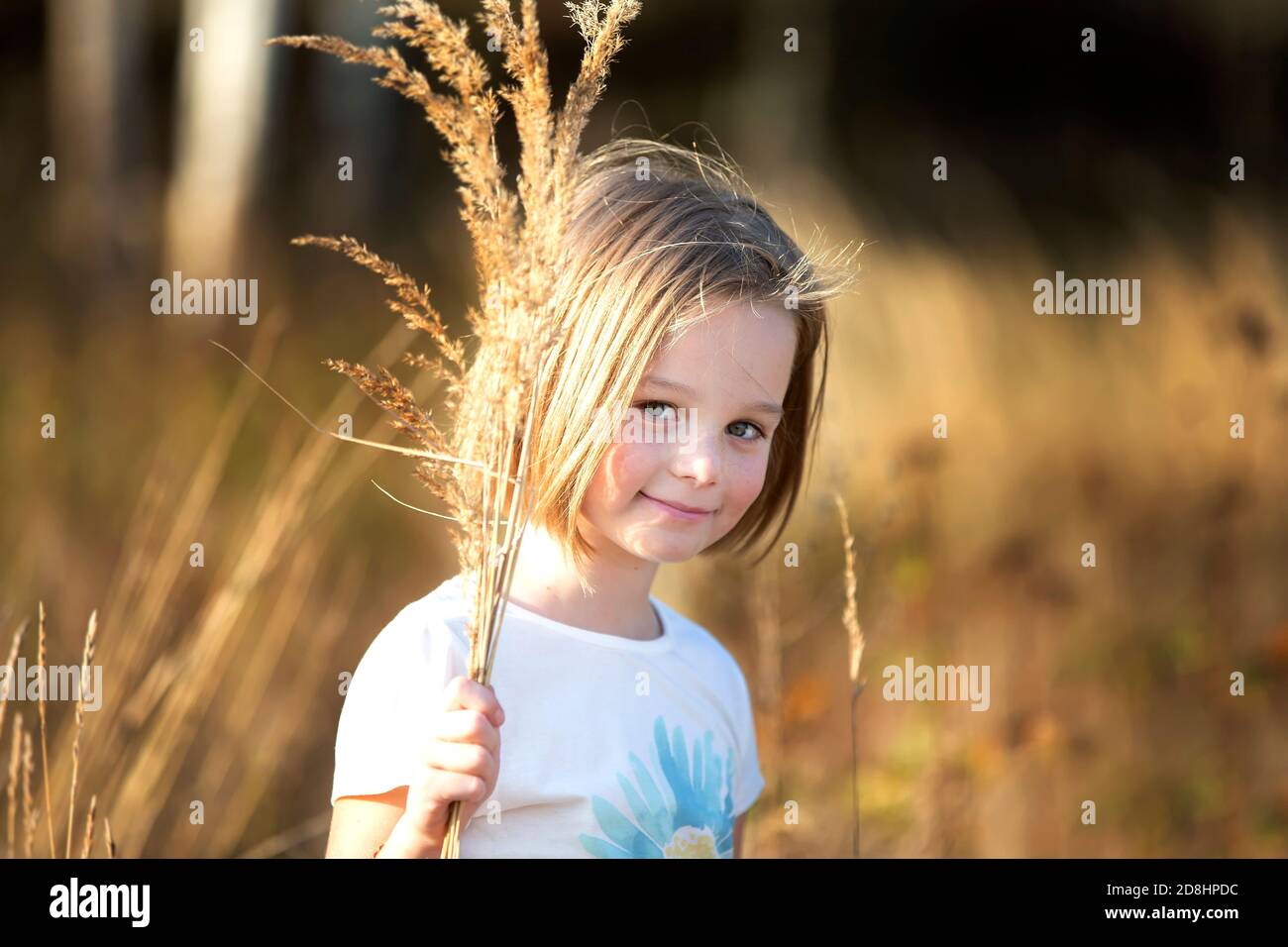Beautiful little girl in a meadow with a bouquet of herbs.Child in a ...