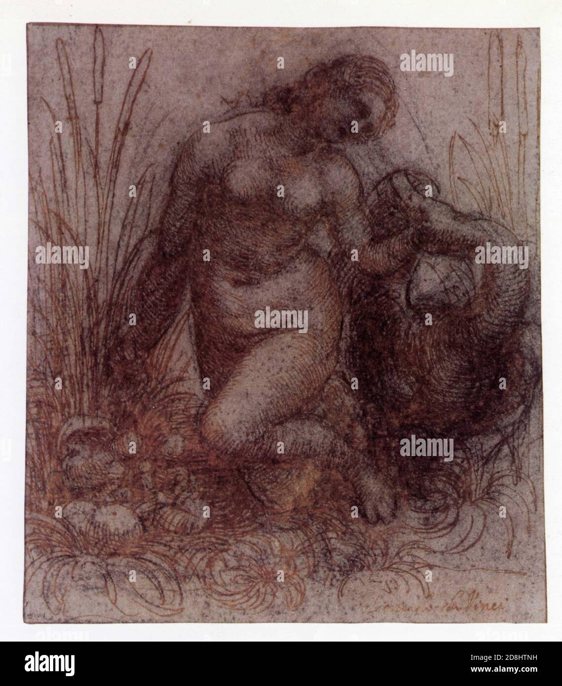 Leonardo da Vinci. Leda and the Swan. 15051507. Black chalk Stock