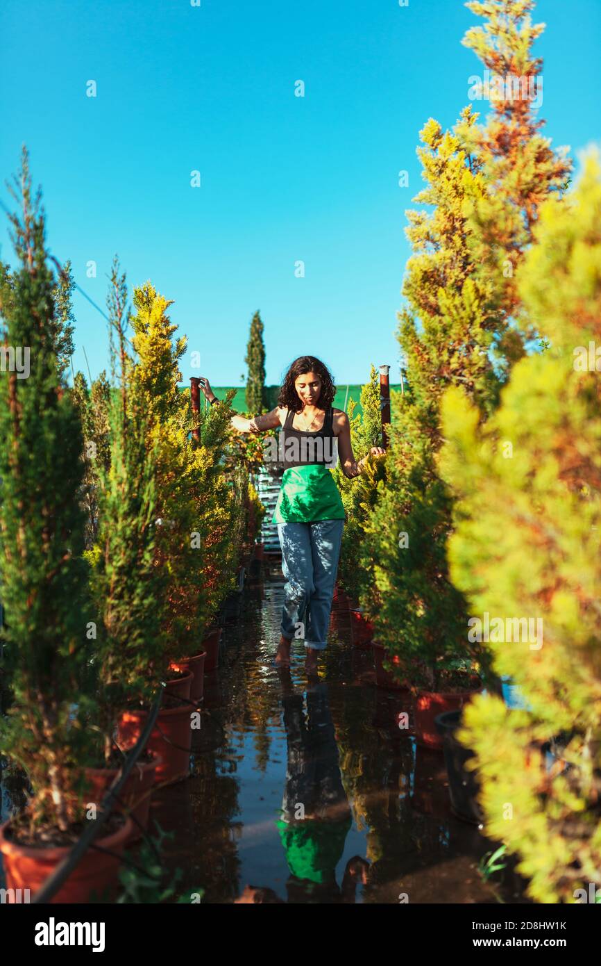 Woman gardener checking out the cypress trees in the plant nursery Stock Photo