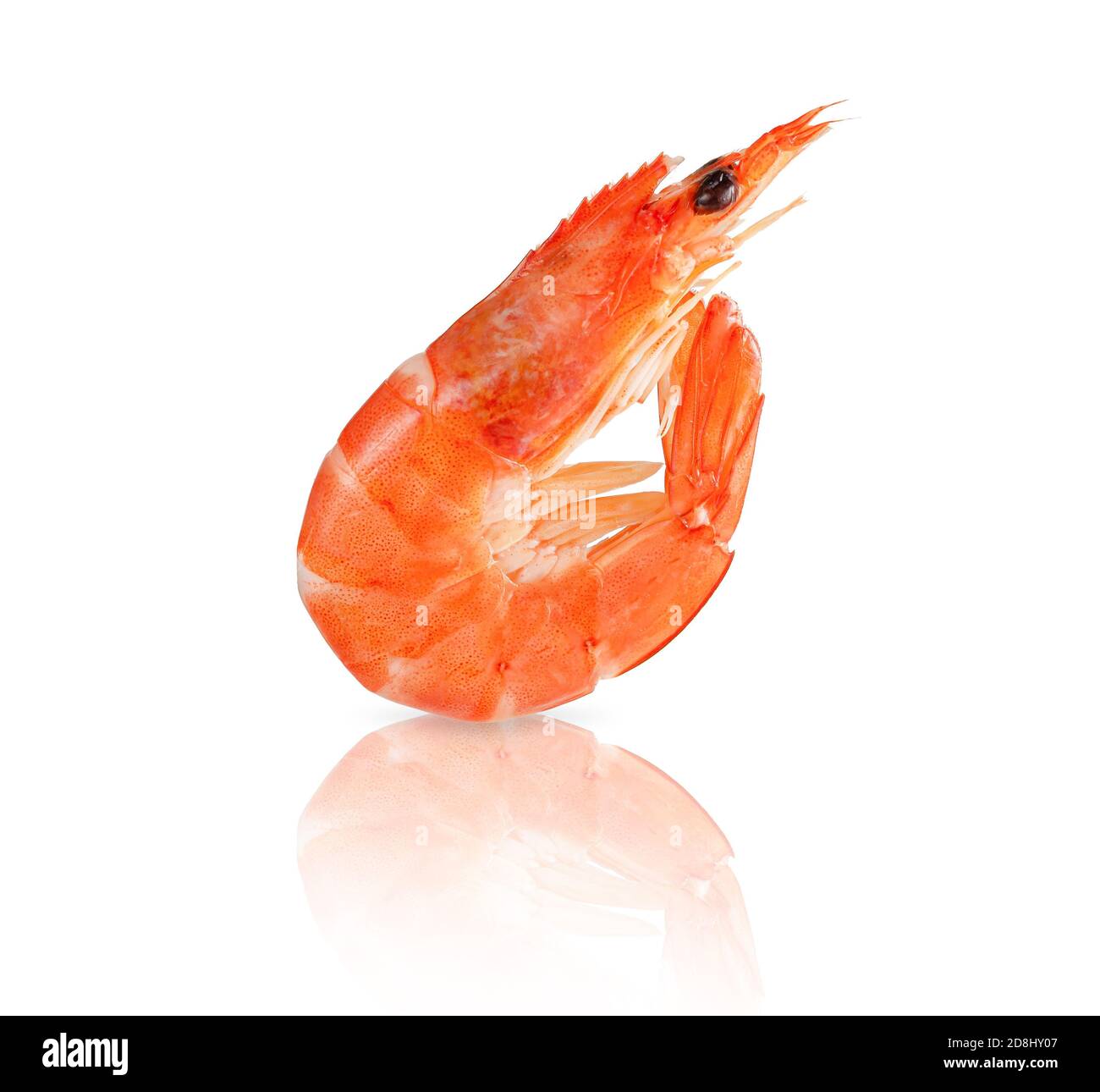 Shrimp or prawn isolated on white background with clipping path Stock