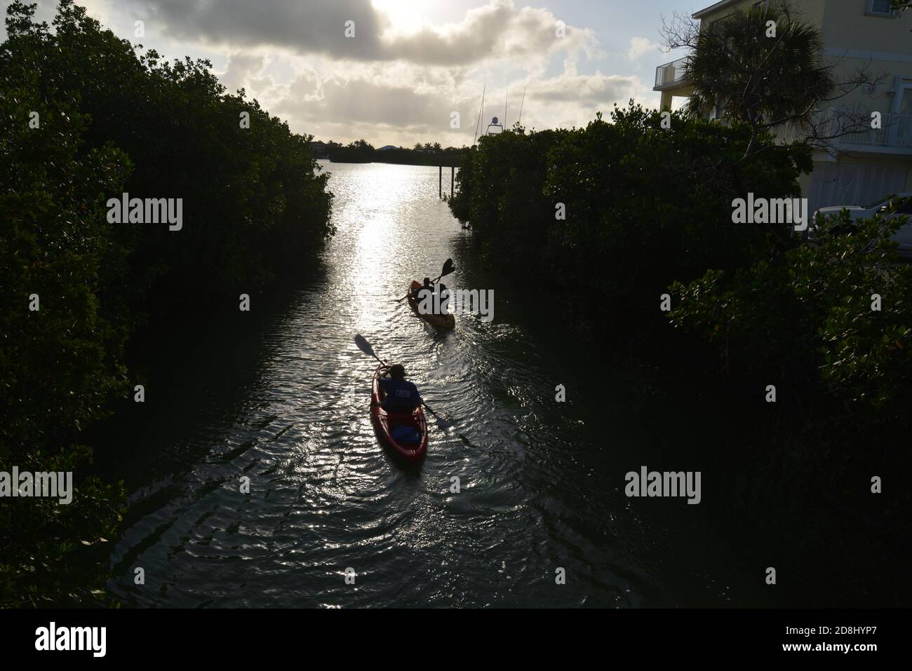 kayaking in the Florida Keys, Florida, USA. Stock Photo