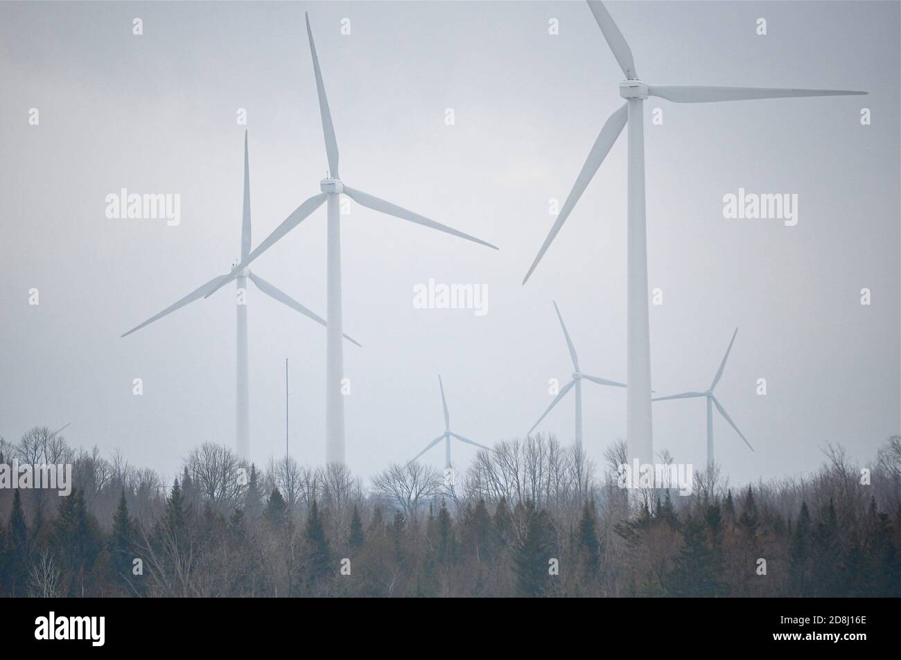 Wind turbines dwarf trees hires stock photography and images Alamy