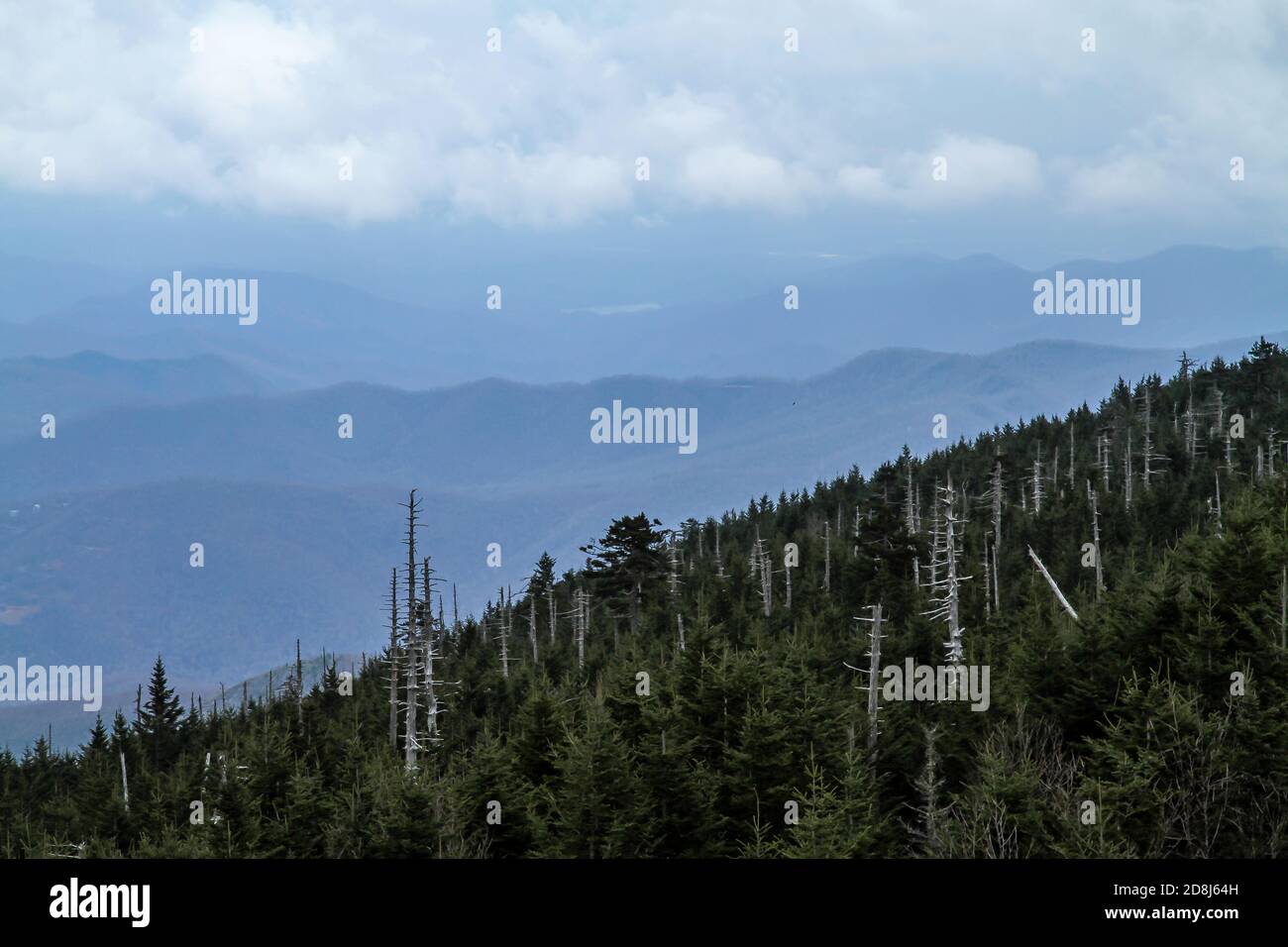 Tallest Peak In North Carolina – CEMVJ