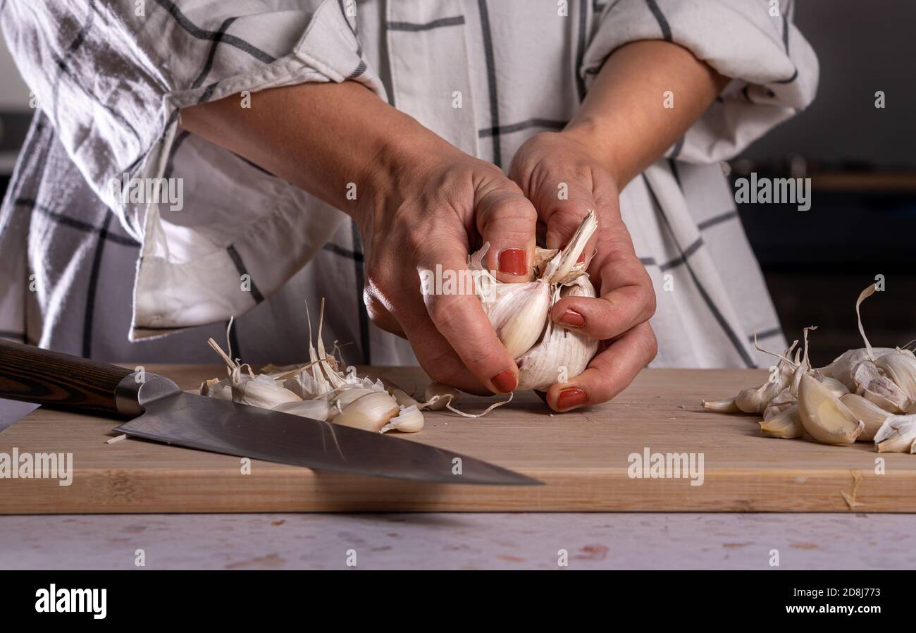 Close up of woman hands with orange nail polish peeling and preparing many garlic bulbs. Stock Photo