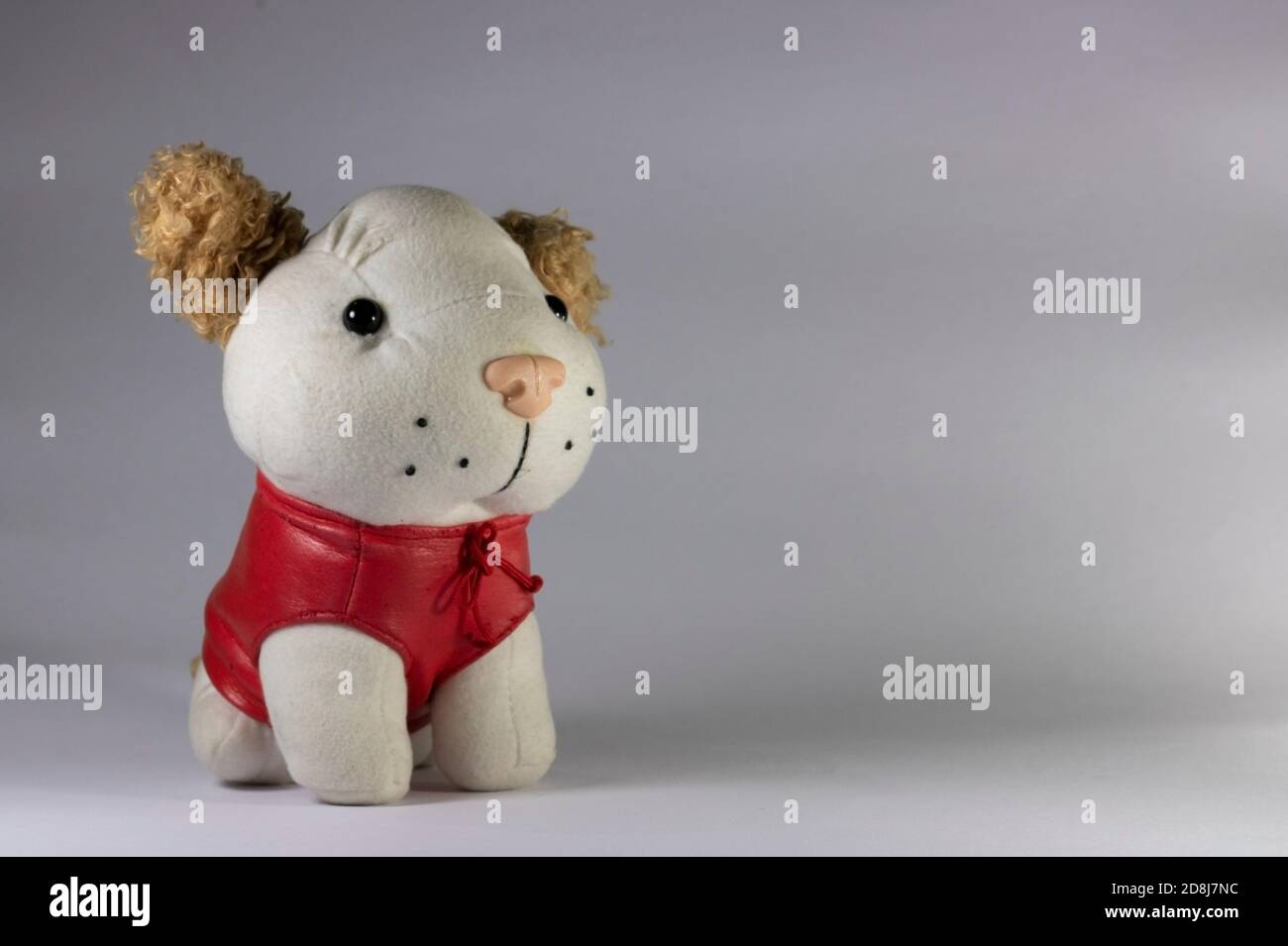 Stuffed dog toy in white background Stock Photo - Alamy