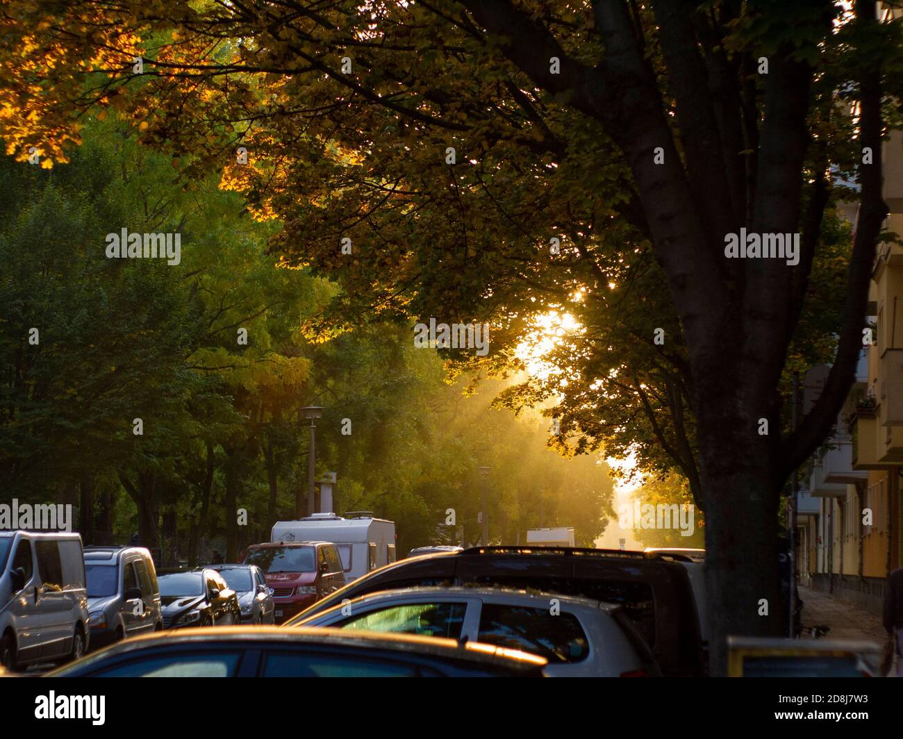 Morning light on a street in Berlin Stock Photo