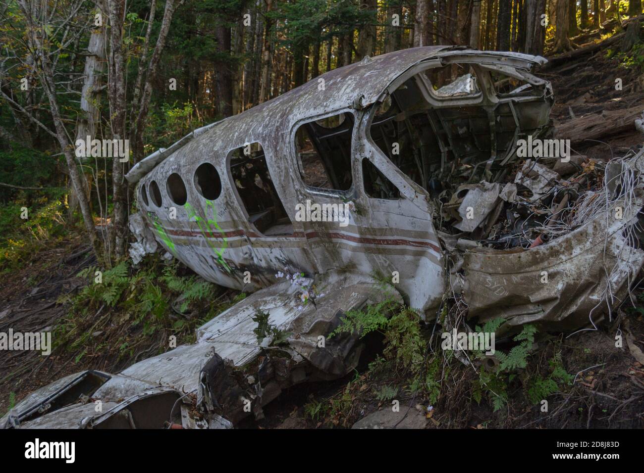 Plane crash site on Browning Knob North Carolina Stock Photo