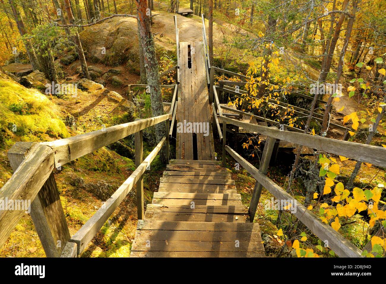An old, dangerous, wooden bridge in the autumn forest. Yellow trees and bushes around. Perspective view. Stock Photo