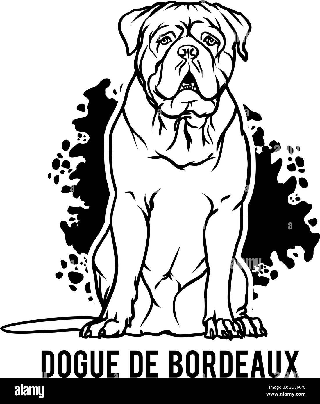 Dogue de Bordeaux - Dog Happy Face Paw Puppy Pup Pet Clip Art K-9 Cop Police Logo SVG PNG Clipart Vector Cricut Cut Cutting Stock Vector