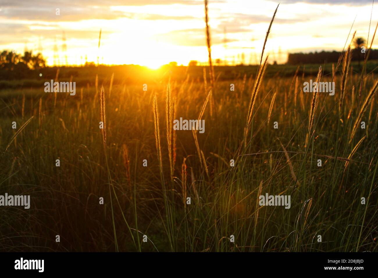 Sunshine hd wallpaper hi-res stock photography and images - Alamy Sunshine hd wallpaper hi-res stock photography and images - Alamy