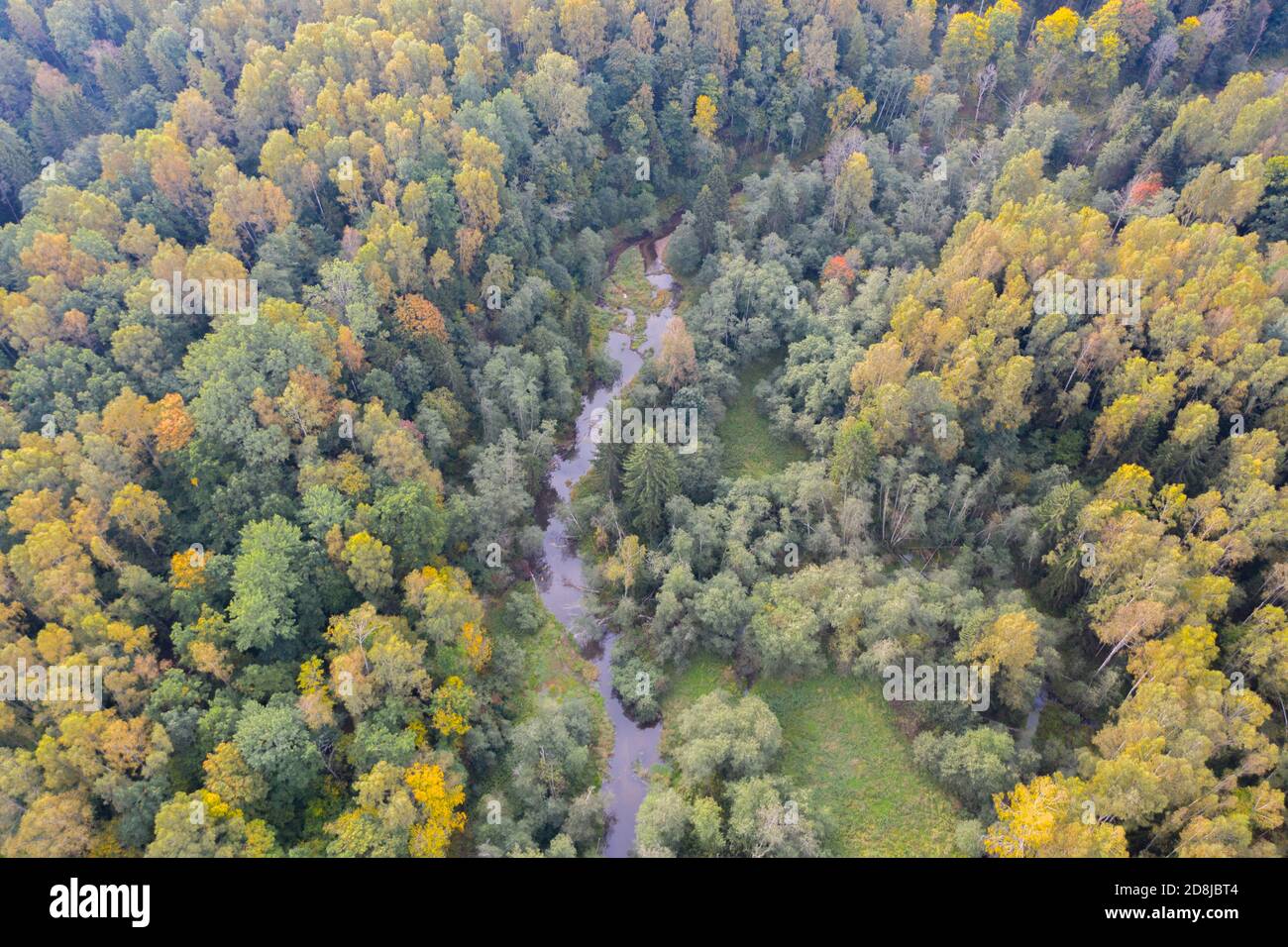 Aerial top down view of winding river flowing through green forest Stock Photo