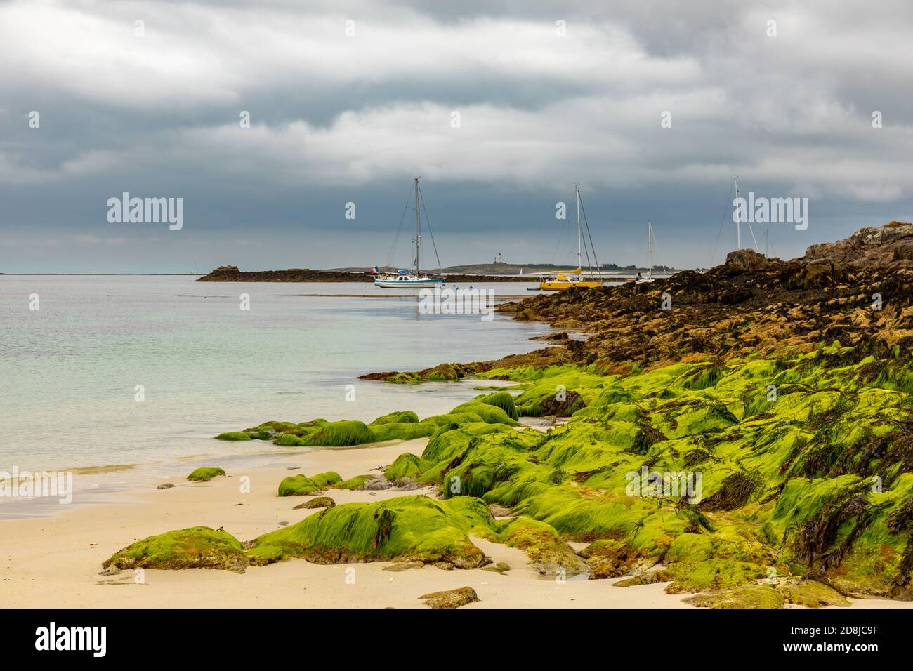 Glenan Islands, Finistere, Brittany, France Stock Photo