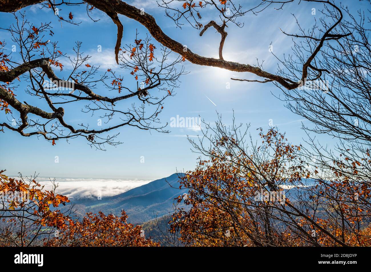 High angle aerial view overlook from the Plunge hiking trail, Wintergreen Virginia on Blue Ridge Appalachian mountains in Rockfish valley in autumn fa Stock Photo