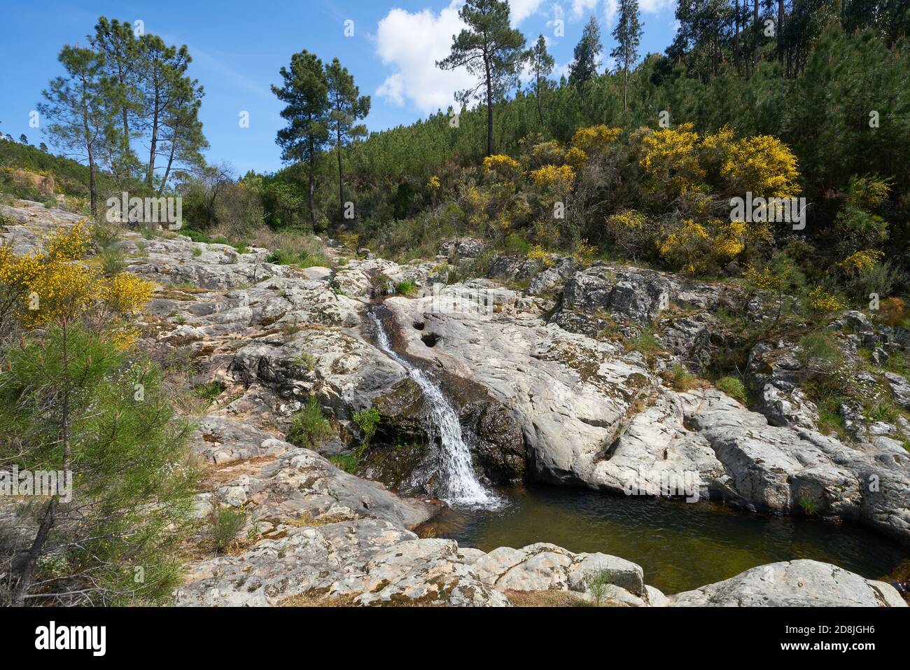 dok Siege nedbrydes Vila de Rei landscape beautiful nature landscape with waterfalls and green  and yellow trees, in Portugal Stock Photo - Alamy