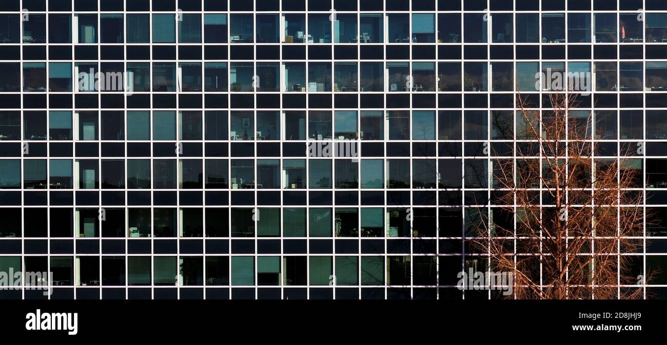 ENI, oil and gas italian company headquarters, luxury offices, modern building facade. Glass Palace. EUR district, Rome, Italy, Europe. Panoramic. Stock Photo