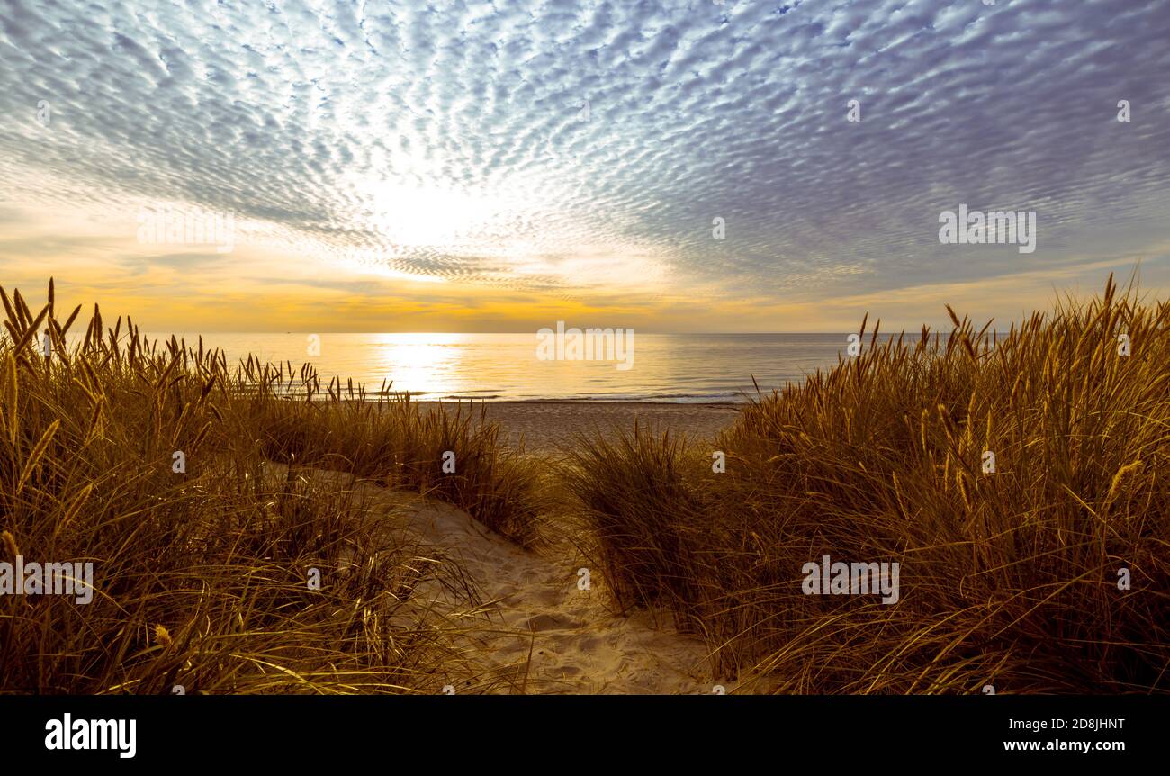 Dunes and beach at sunset on the Baltic Sea in the Kaliningrad region Stock Photo