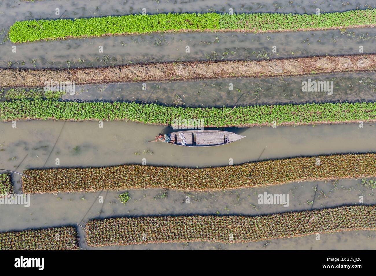 Floating vegetable beds at Najirpur in Pirojpur, Bangladesh. Floating vegetable bed grow in waterlogged and salinity prone areas along the coast are Stock Photo