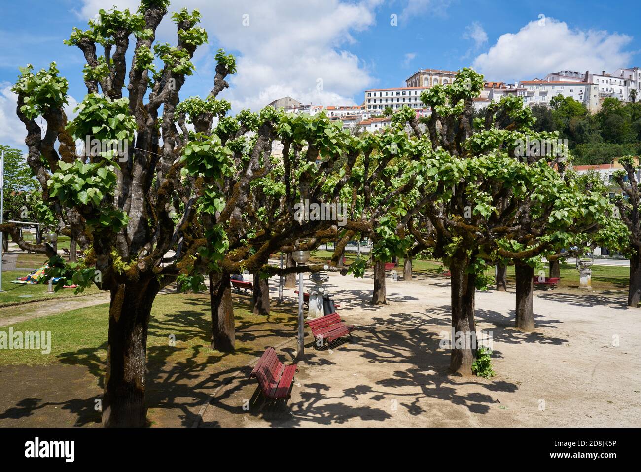 Manuel Braga Park in Coimbra, Portugal Stock Photo - Alamy