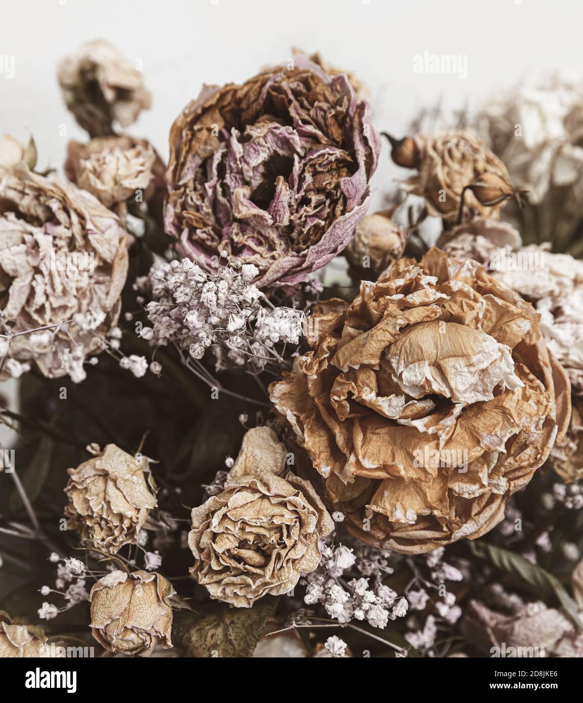 Dry bouquet. Close-up image of dried flowers in a bouquet. Life and death  concept. Withered flower background Stock Photo - Alamy