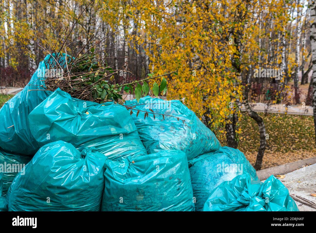 Bags of garbage in nature in an outdoor blue park in the autumn birch