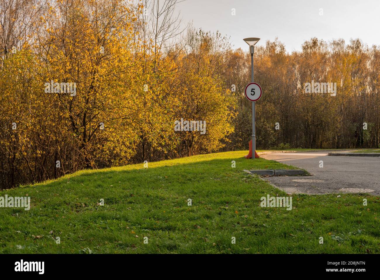 Road sign on the background of a golden forest in a circle of red number, autumn meadow, green grass bright sunlight asphalt road in the shade Stock Photo