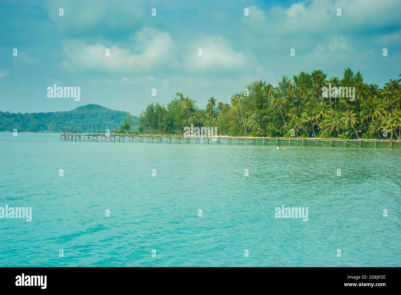 Tropical Sandy Beach With Tall Coconut Palm Trees On Island Of Koh Kood