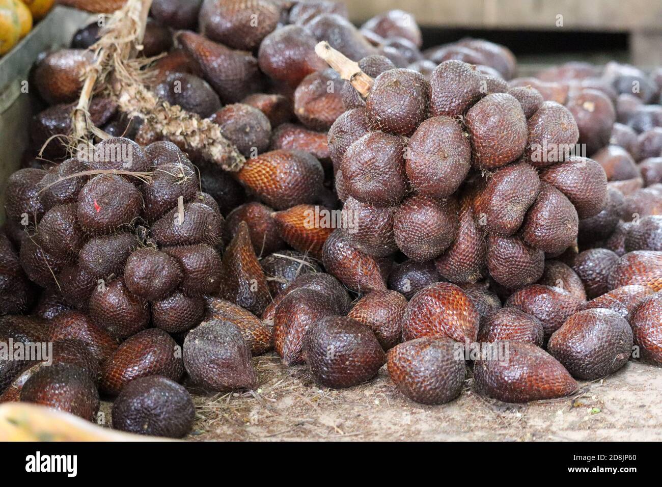 zalacca fruit that is still with its stalk, with skin like snake scales, selective focus Stock Photo