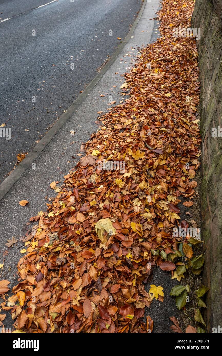 Autumn leaves fallen onto a path Stock Photo