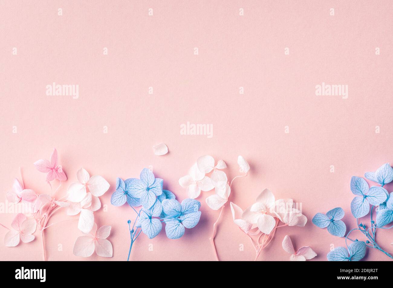 Biodegradable confetti from real dried flowers Stock Photo Alamy