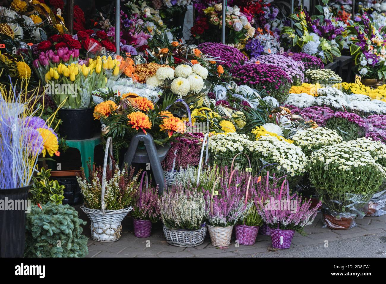 Stand with flowers for sale next to Wolski Cemetery in Warsaw city, few days before All Saints Day feast in Poland Stock Photo