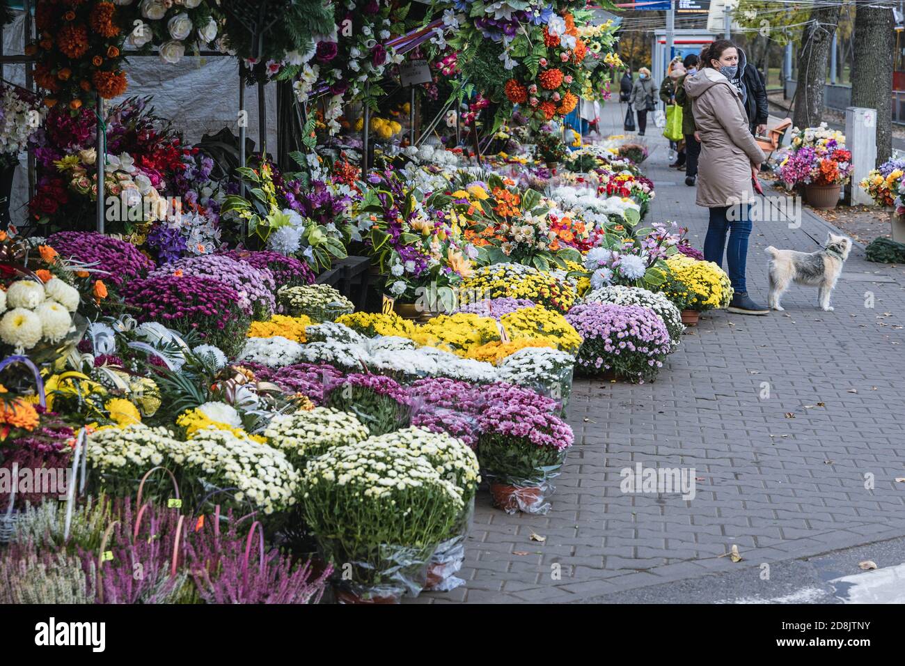 Stand with flowers for sale next to Wolski Cemetery in Warsaw city, few days before All Saints Day feast in Poland Stock Photo