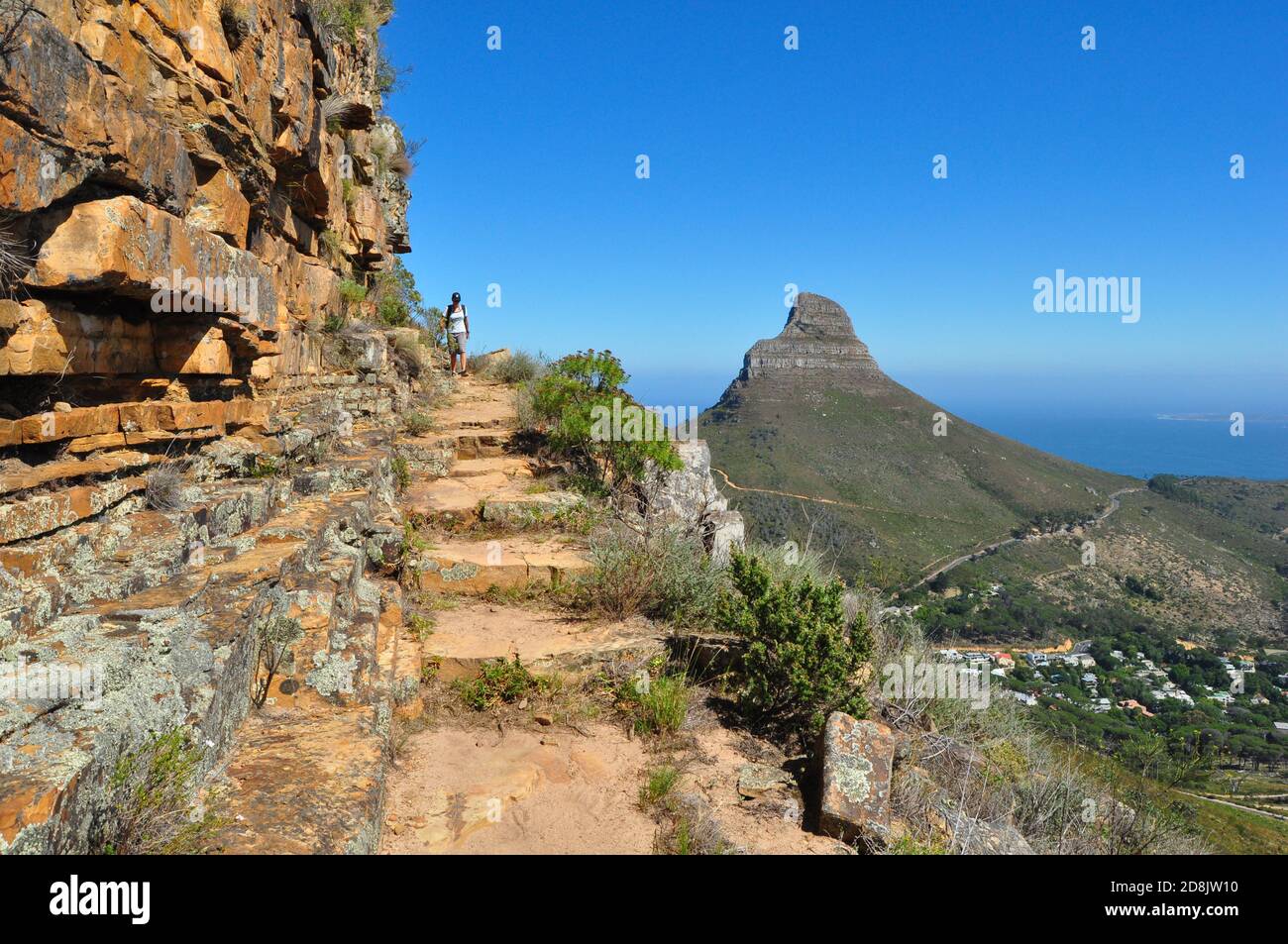Hiking trail at Table Mountain and view of Lion's head mountain in the distance, Table Mountain national park, Cape Town , South Africa Stock Photo