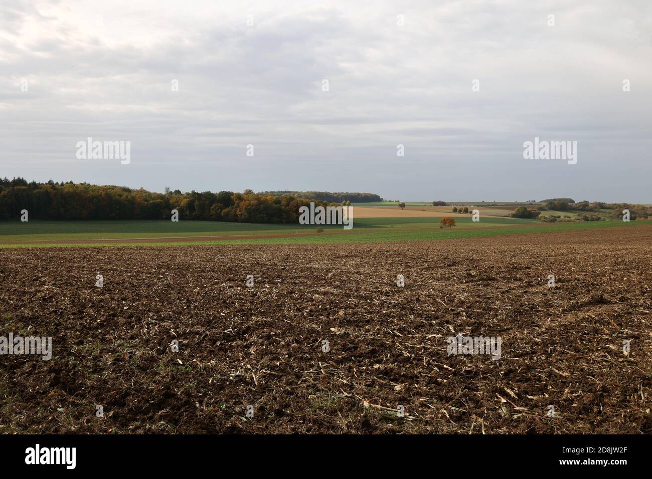 Autumn landscape with meadows and fields in the morning. Stock Photo