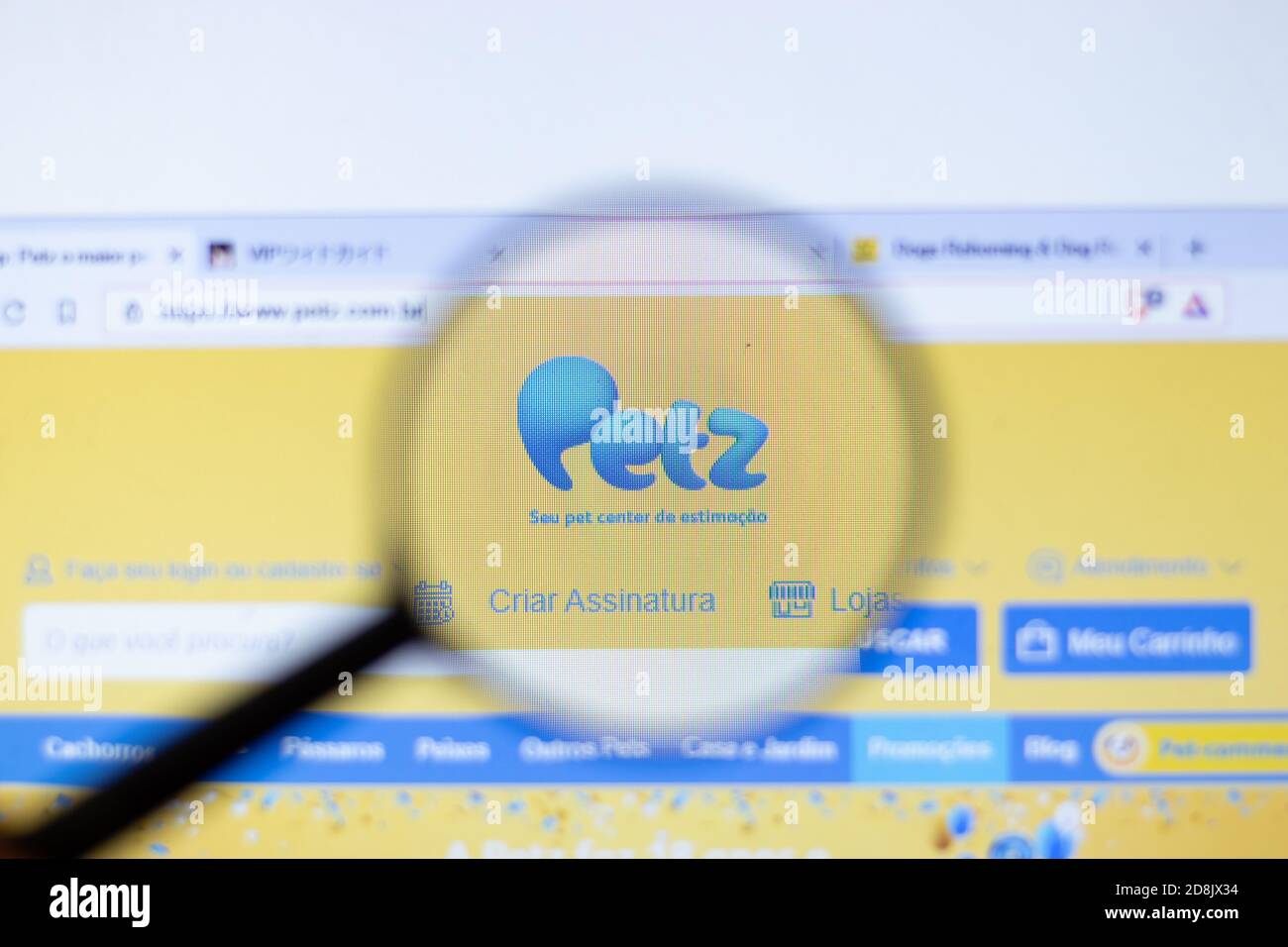 New York, USA - 29 September 2020: Petz petz.com.br company website ...